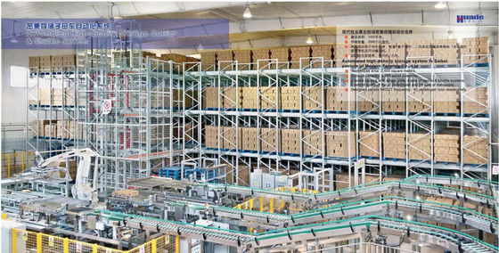 1000kg ha automatizzato le soluzioni a uso medio di stoccaggio del magazzino del sistema di tormento del pallet